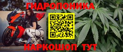 эйфоретик Донецк