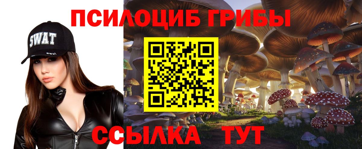 Псилоцибиновые грибы мицелий  Вход с VPN  Галлюциногенные грибы ЛСД  Кызыл 